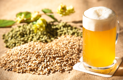 Liquid Gold: How Beer is Made